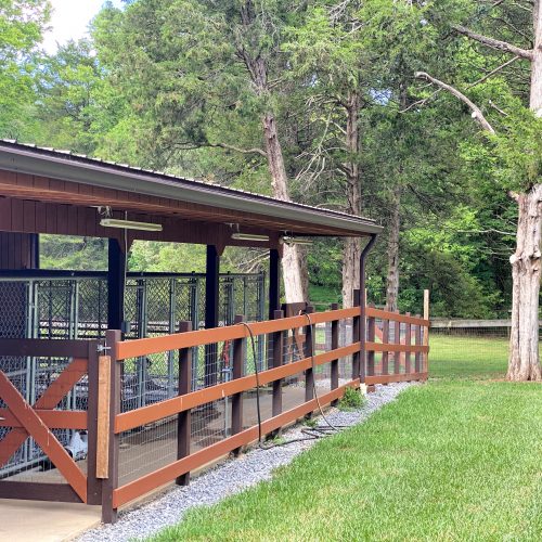 Our kennels